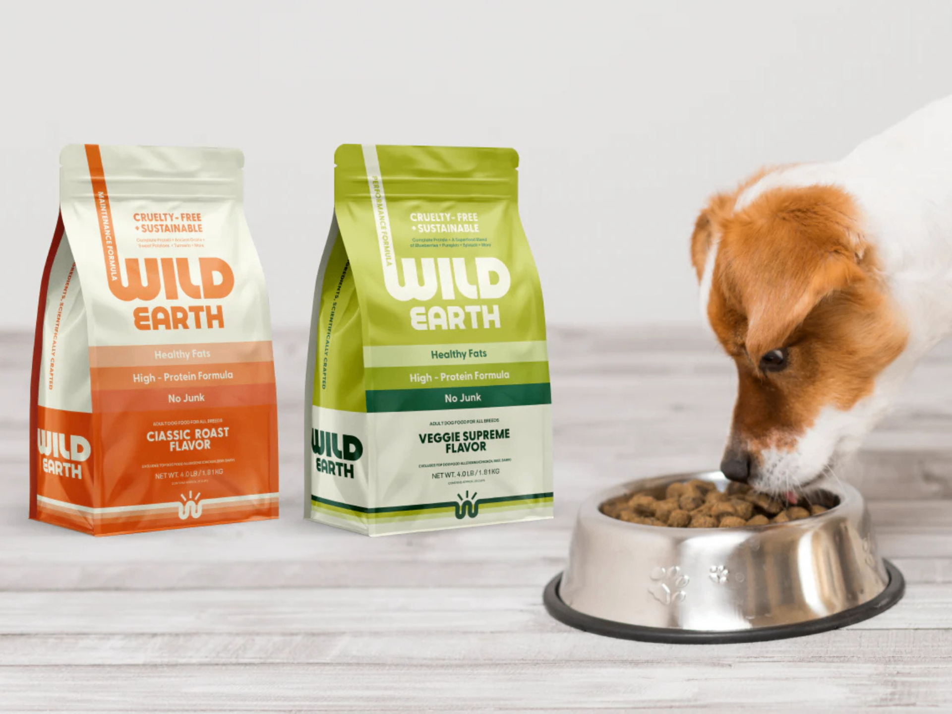 Wild Earth. case study